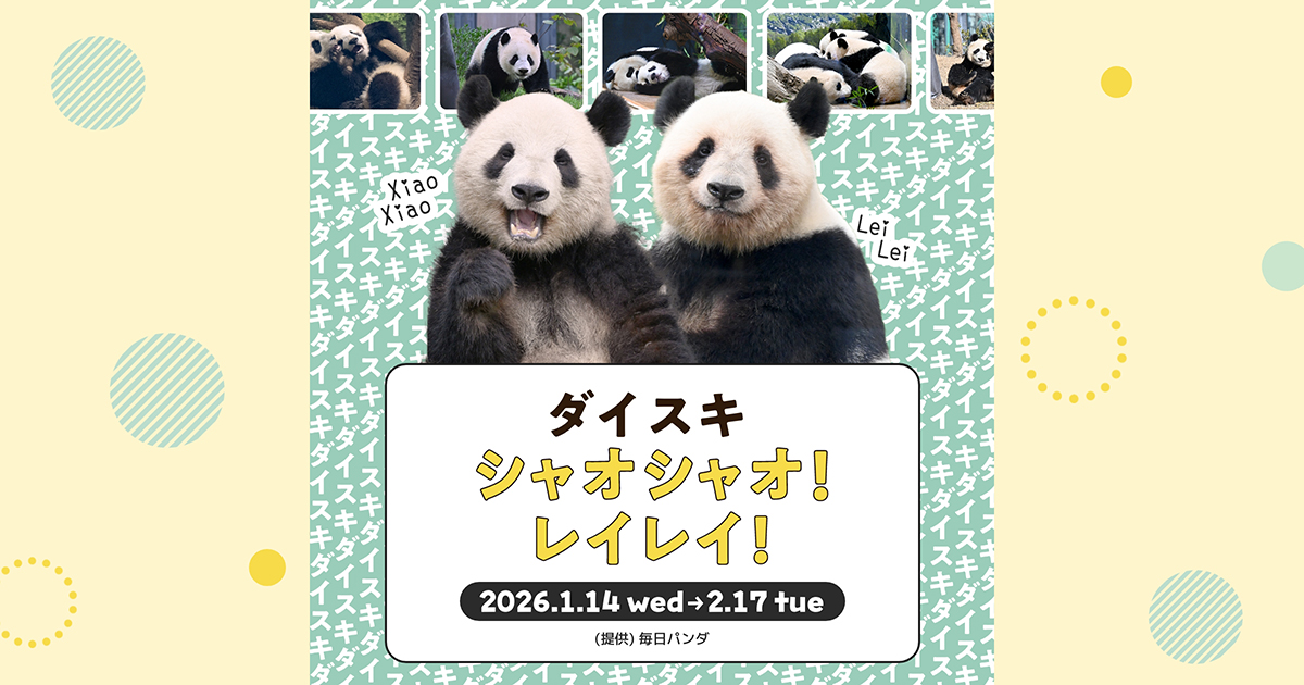 ダイスキ！シャオシャオ！レイレイ！