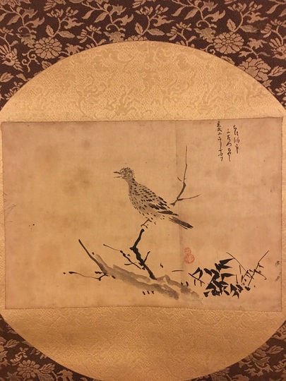 狩野探幽 縮図 梅鵯｜古美術・掛け軸の販売・買取・鑑定-松本松栄堂