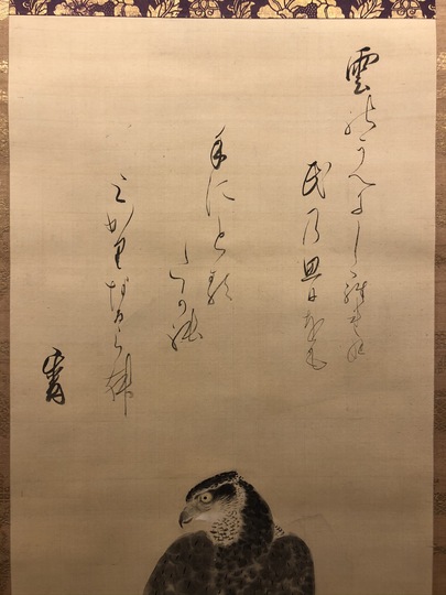 狩野伊川院栄信 鷹図｜古美術・掛け軸の販売・買取・鑑定-松本松栄堂