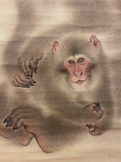 Mori Sosen monkey｜Matsumoto Shoeido | Japanese Paintings and
