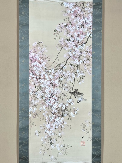 菊池芳文 枝垂桜群雀｜古美術・掛け軸の販売・買取・鑑定-松本松栄堂