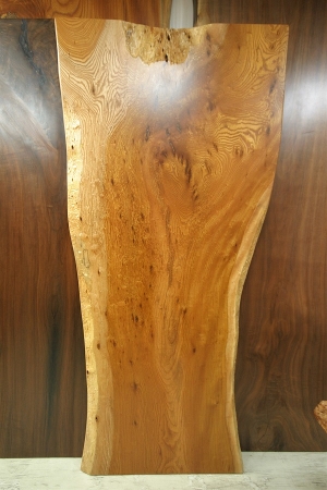 天然木 東京 新宿 東五軒町展示 楠（くすのき）材 一枚板 セール｜一枚