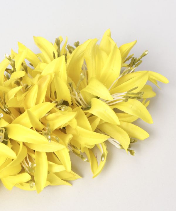 マウナロア【Maunaloa】|フラダンス衣装の専門店|モハラスパイダー