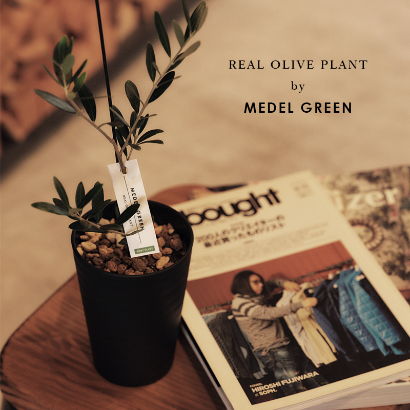 繁栄の象徴シリーズ 」 MAX MATERIA feat MEDEL GREEN ◇バス2P＆