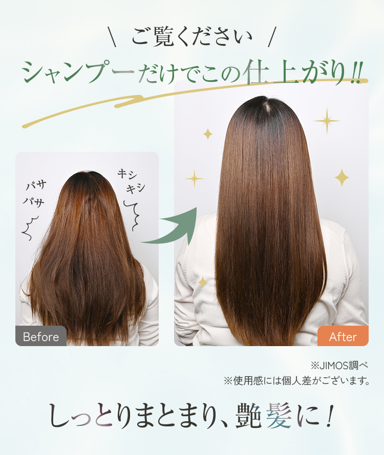 公式]オールインワンシャンプー クリームリペアシャンプー