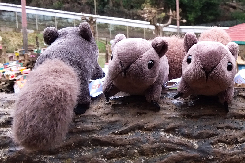 町田リス園 オリジナルギフト｜商品のご紹介