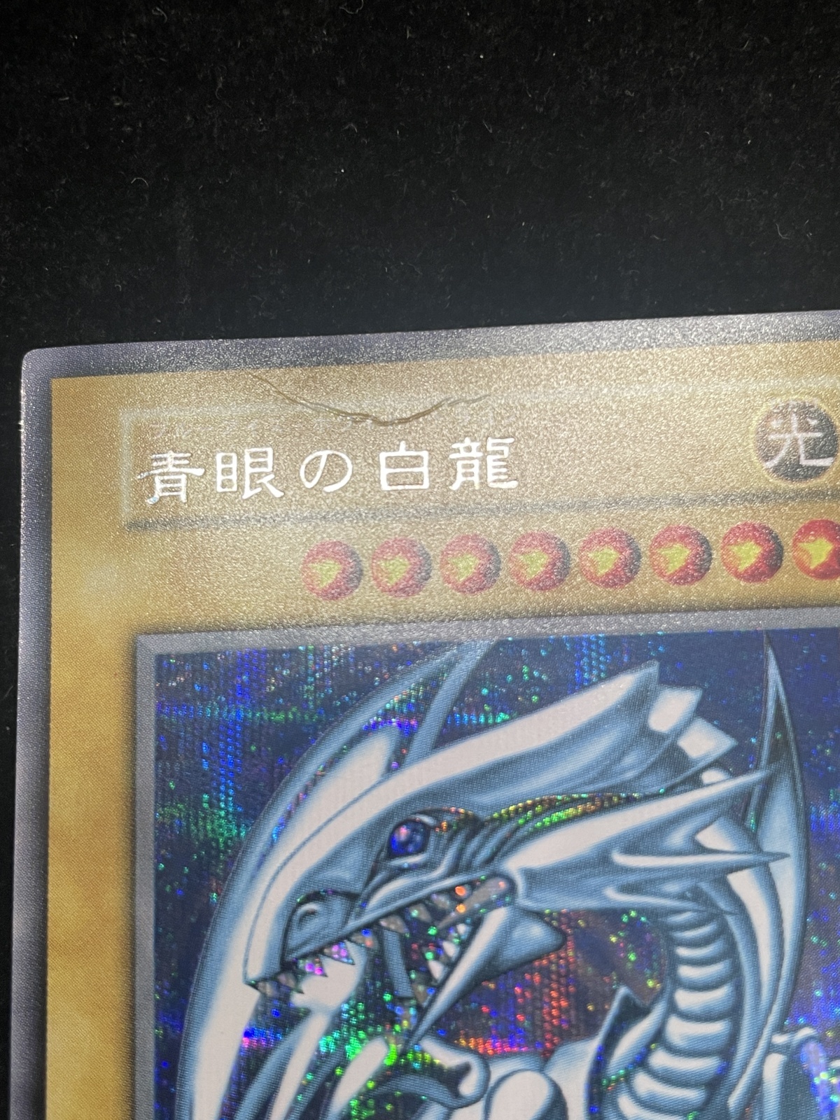 状態C】青眼の白龍 (初期) [シークレット] {-} - magi通販【遊戯王