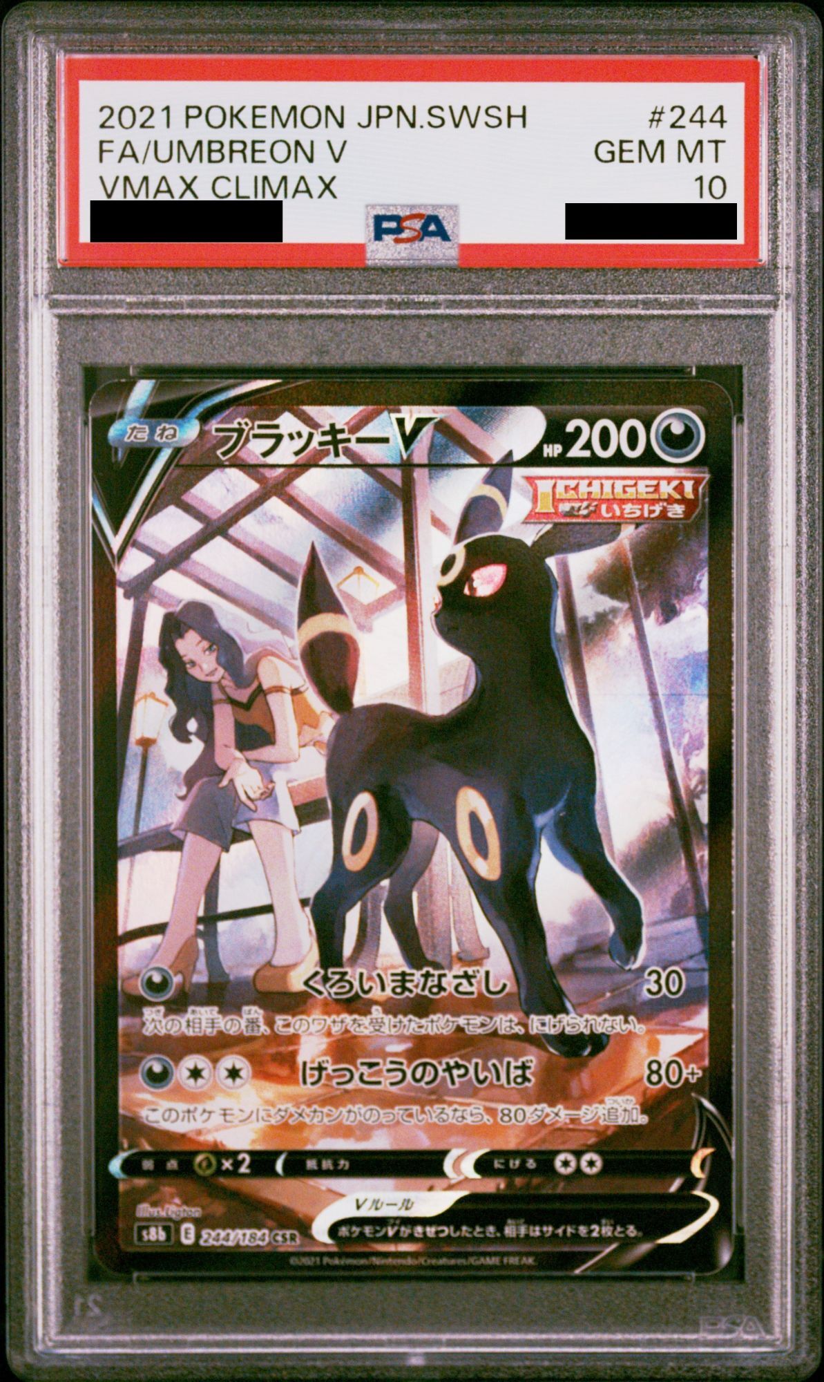 PSA10】ブラッキーV (CSR) {244/184} [S8b] - magi通販【ポケモン