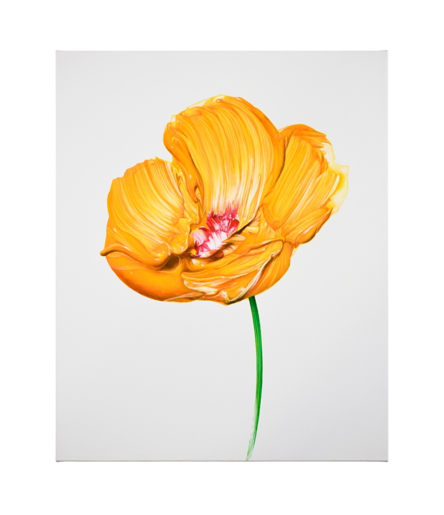 武田 鉄平 | MAHO KUBOTA GALLERY