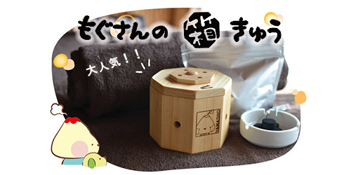 発売以来大人気！！もぐさんの箱きゅう｜メイプル名古屋