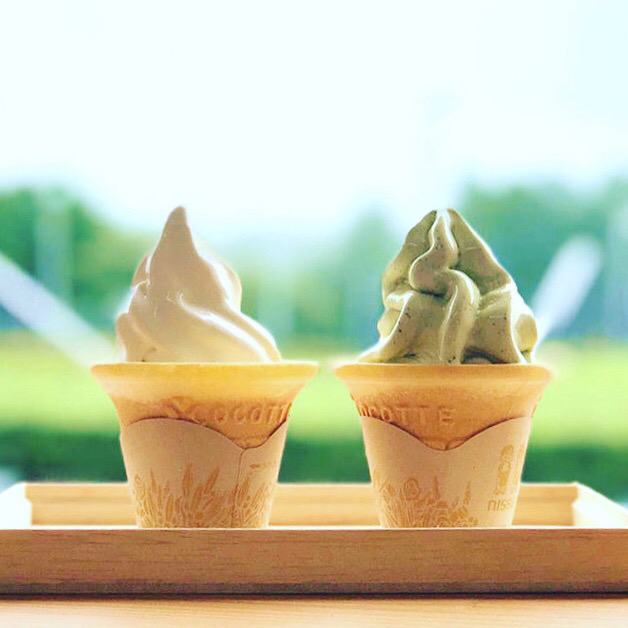 ソフトクリーム - ソフトクリーム※土日祝のみ販売中 - お茶処牧之原