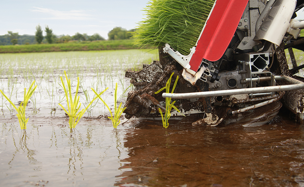 植付性能｜Rice transplanter XPS6/XPS8｜田植機｜製品情報｜製品紹介
