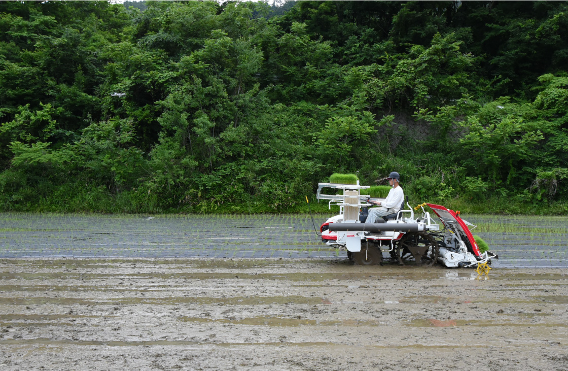 コンセプト｜Rice transplanter LKE60AD｜田植機｜製品情報｜製品紹介