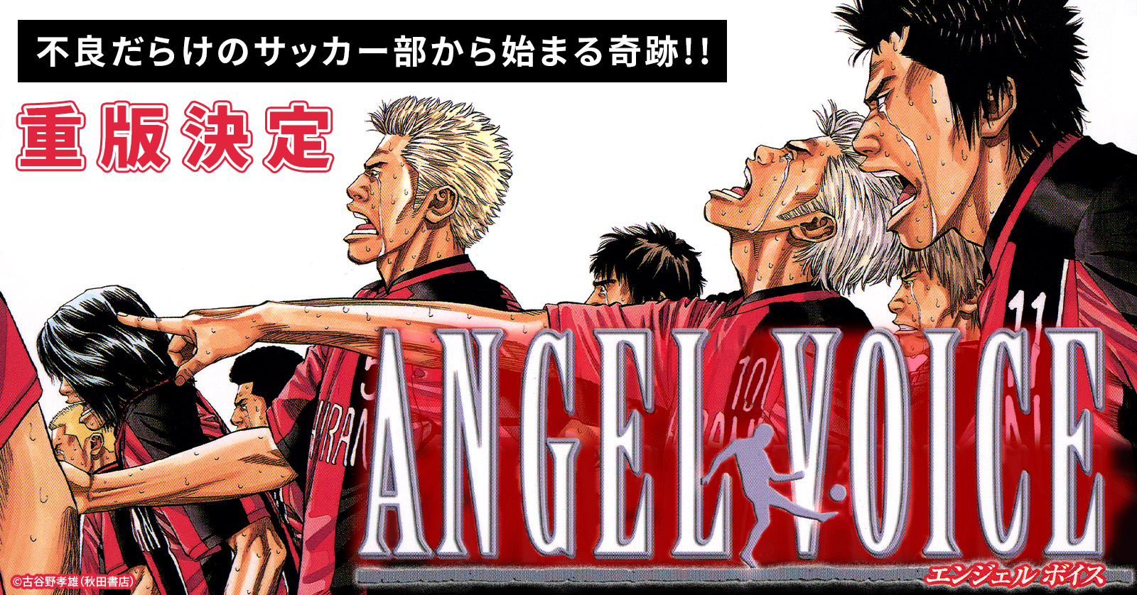 中古]ANGEL VOICE エンジェルボイス (1-40巻 全巻) | 漫画全巻ドットコム