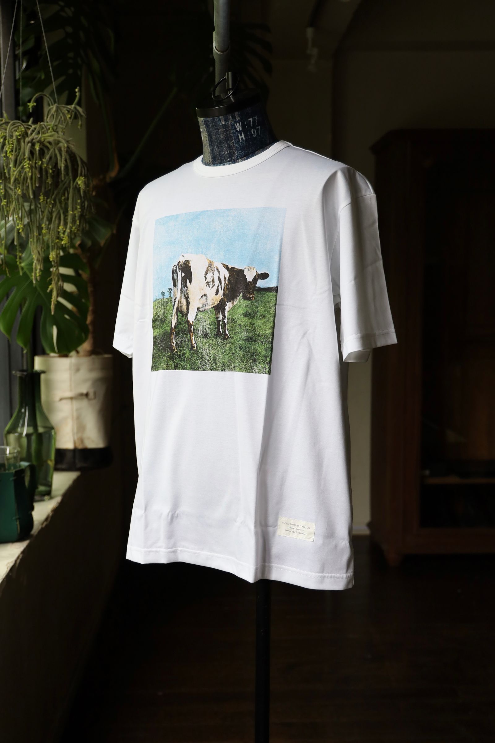 JUNYA WATANABE MAN - ジュンヤワタナベマン24SS Pink FloydプリントT