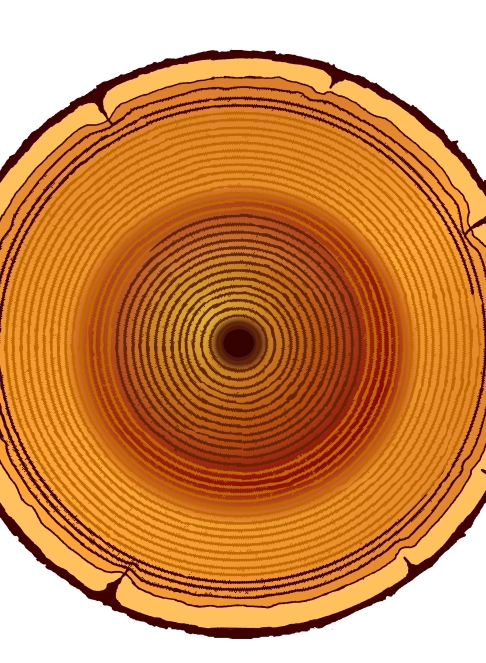 匠の技｜丸八碁盤店
