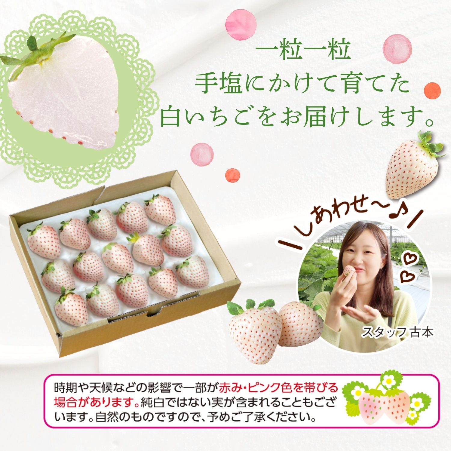 パールホワイト】華やかな香りとやさしい甘さの高級白いちごを限定販売