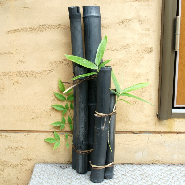 竹炭 54cm - （癒し・インテリア｜癒し・インテリア）：炭専門商社