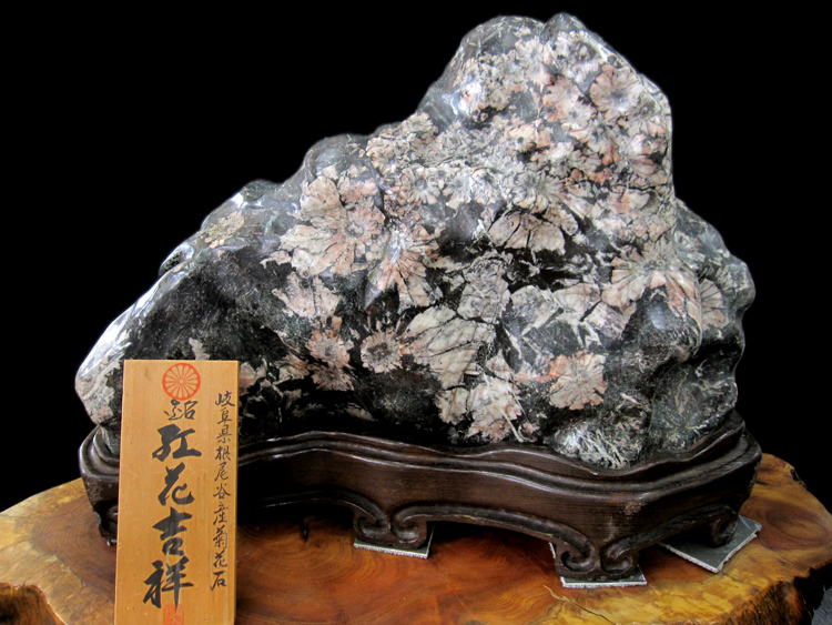 特別天然記念物【根尾谷の菊花石（きっかせき）】 紅花吉祥