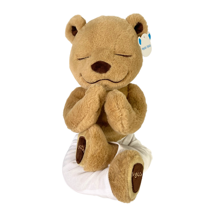 MeddyTeddyYogaBear_750x.png.