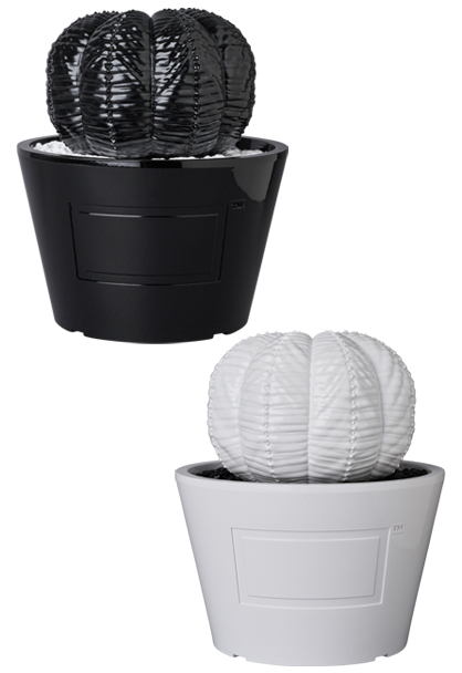 MEDICOM TOY - VCD Euphorbia obesa GLOSS BLACK／GLOSS WHITE