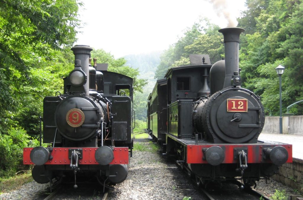 動態保存されている国内最古のSL！「12号」が明治村を駆け抜ける勇姿に