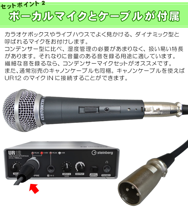 Steinbergオーディオインターフェイス UR12B ネット配信セット