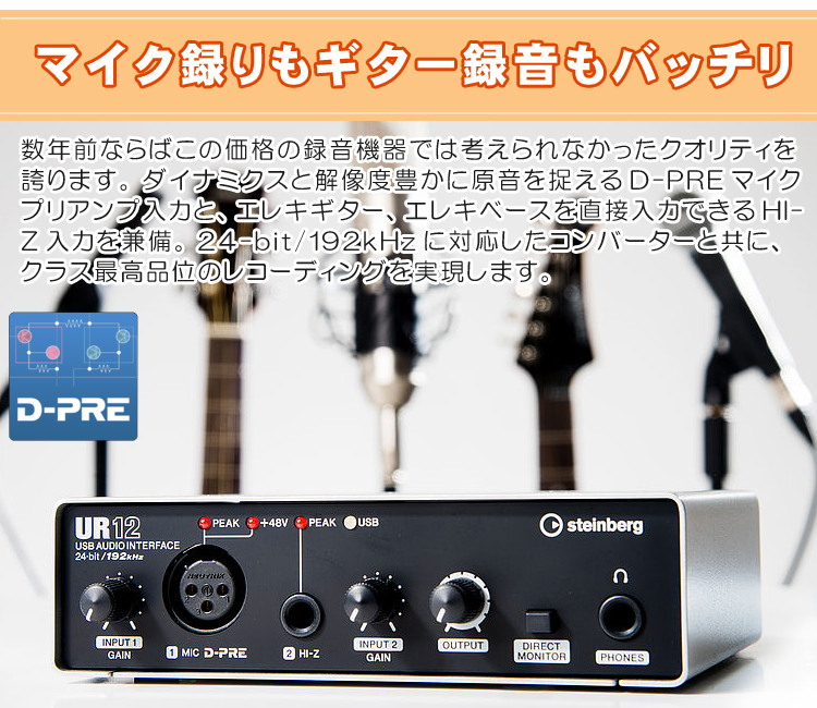 Steinbergオーディオインターフェイス UR12B ネット配信セット(audio