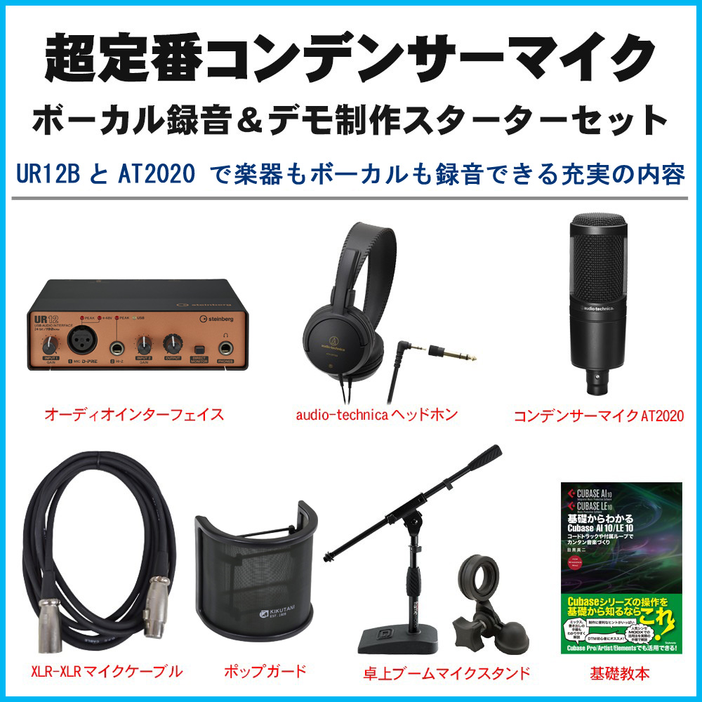 Steinbergオーディオインターフェイス UR12B ネット配信セット(audio