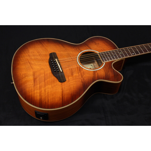 新品 Aria(アリア) ／ FET-DLX／12 LVS 12弦 エレアコ 多弦ギター の