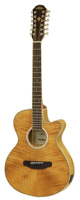 新品 Aria(アリア) ／ FET-DLX／12 LVS 12弦 エレアコ 多弦ギター の