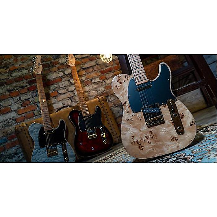 Michael Kelly Guitars ( マイケルケリーギターズ ) ／ Mod Shop 50