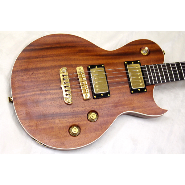 新品 Aria pro(アリア) ／ PE-MAHO II エレキギター 初心者にも