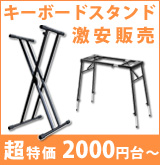 ACCESS(アクセス) ／ VIRUS TI2 POLAR 【37鍵キーボード仕様】 の激安