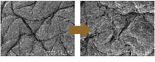 MAJOR | 2025年 マジョール タイムレスリペアクリーム 50g