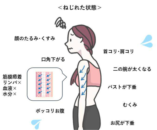 マッコイ| Dolcet ドルセット ボディメイクシャツ