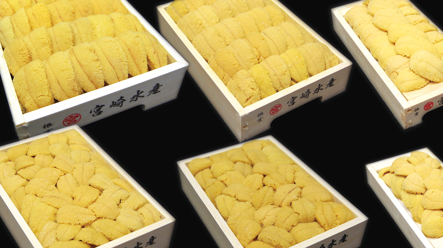 マルミヤ宮崎水産公式ページ うに製造販売と水産加工全般 北海道根室