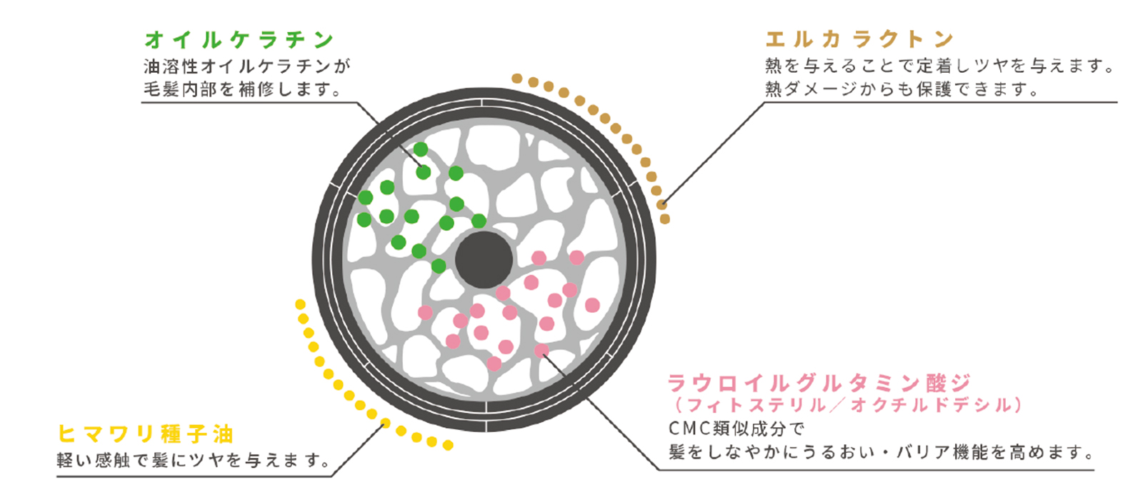 グリッターリッチオイル 500ml TIMeの通販・卸 | 4589408019167 | 理