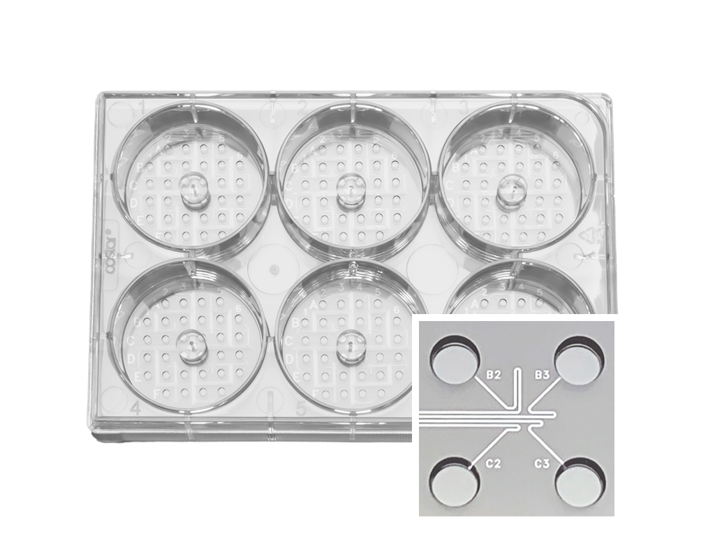 シングルセル分注・培養プレート 1CellPlate®-mini - NTサイエンス