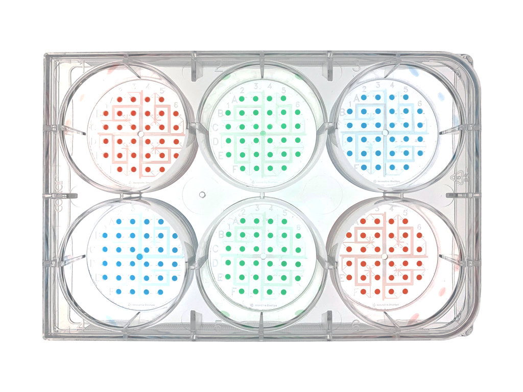 シングルセル分注・培養プレート 1CellPlate®-mini - NTサイエンス