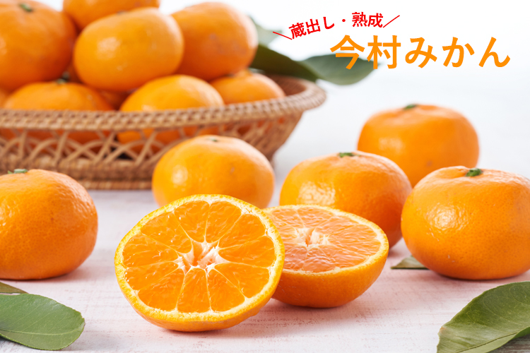 熟成蔵出し 今村みかん | 減農薬・完熟栽培みかんのマルヨ農園