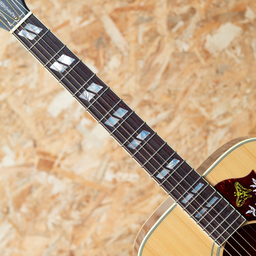 Hummingbird Original AN: アコースティックギター｜三木楽器公式通販