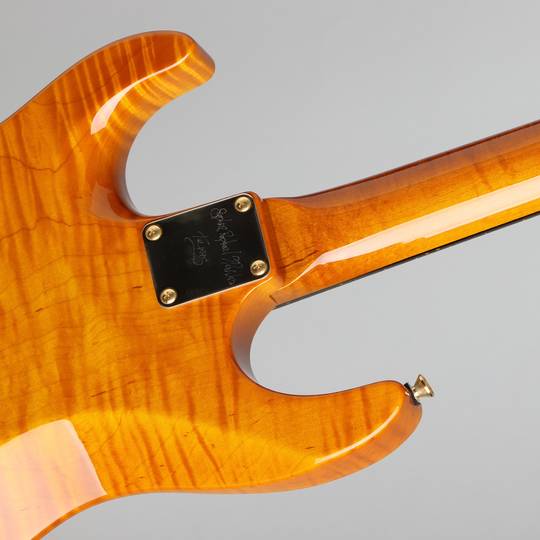Carve Top 1pc Figured Maple Body Amber 2015: エレキギター｜三木