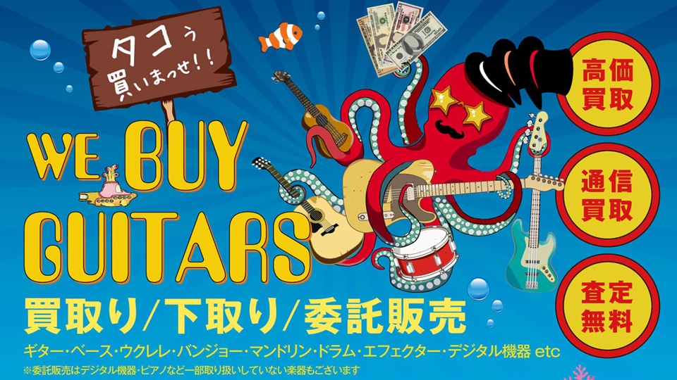 focus flat tuning: エフェクター｜三木楽器公式通販サイト