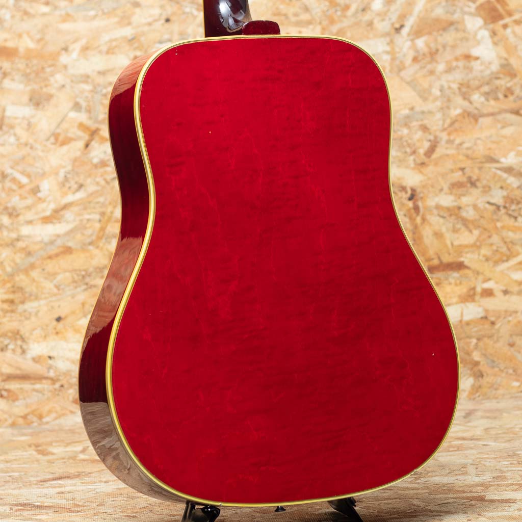 Dove 1969: アコースティックギター｜三木楽器公式通販サイト