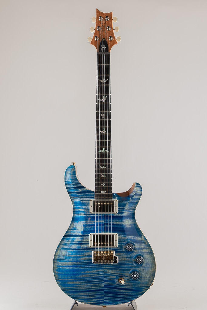 DGT Birds 10Top Faded Blue Jean 2025: エレキギター｜三木楽器公式