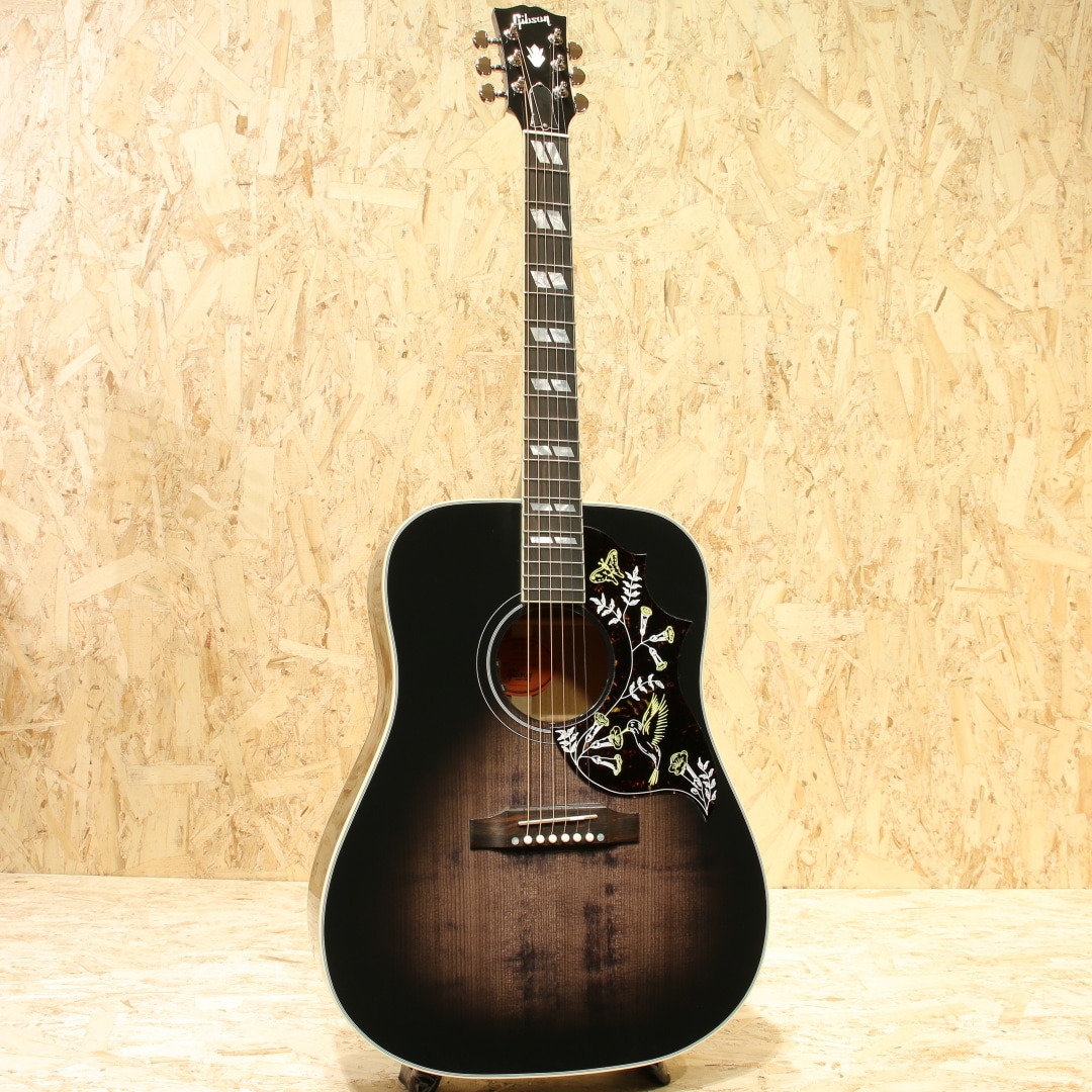 Hummingbird Red Spruce Trans Ebony: アコースティックギター｜三木