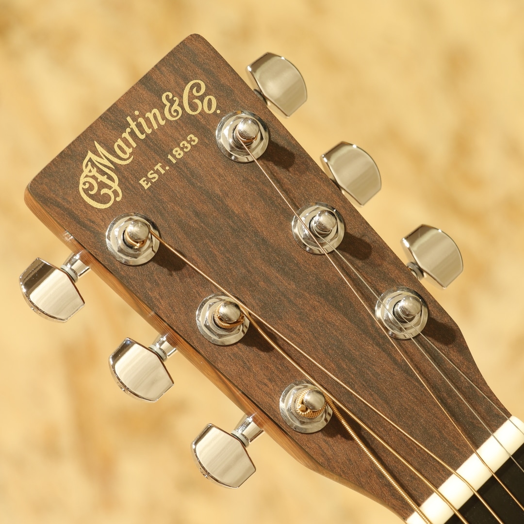 LX1E: アコースティックギター｜三木楽器公式通販サイト