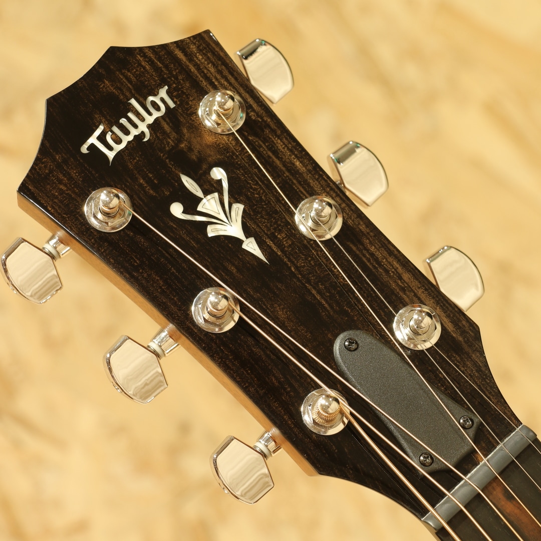 514ce LTD 2022: アコースティックギター｜三木楽器公式通販サイト