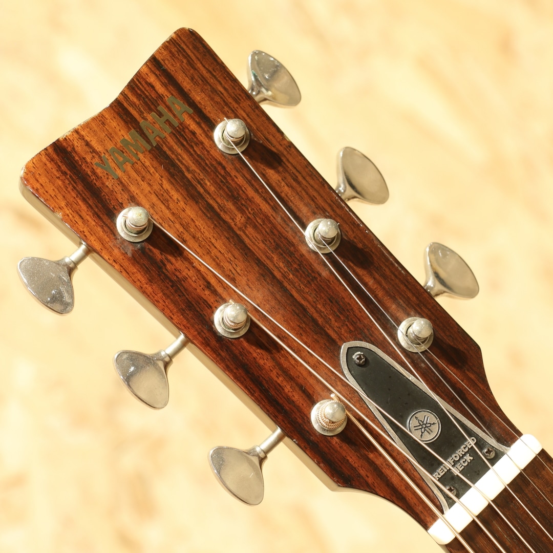 The FG 2002: アコースティックギター｜三木楽器公式通販サイト